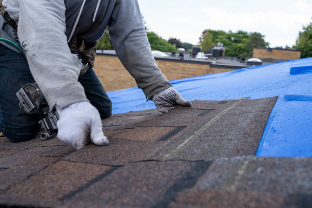 Roof Gutter Cleaning in Coram, NY